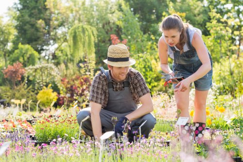Sustainable gardening practices in Tottenham