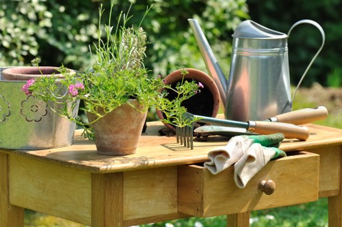 Professional landscaper designing outdoor space in Tottenham