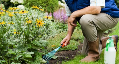 Autumn garden preparation in Tottenham