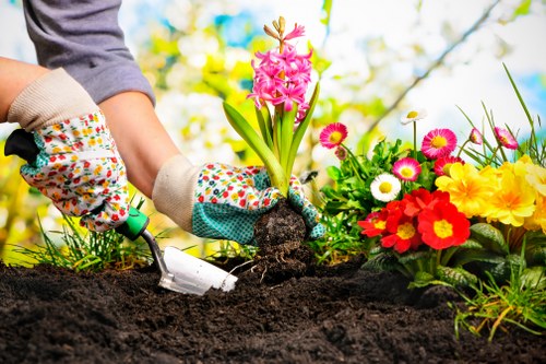 Seasonal lawn maintenance activities in Tottenham garden