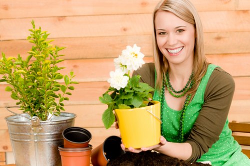 Lawn care professional assessing grass type in Tottenham