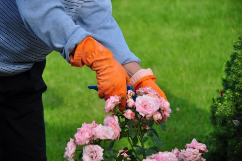 Sustainable gardening practices in Tottenham