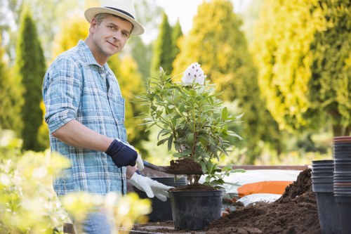 Seasonal plants for Tottenham gardens