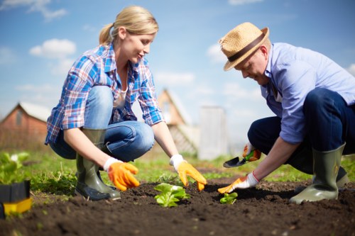 Professional team conducting garden clearance in Tottenham