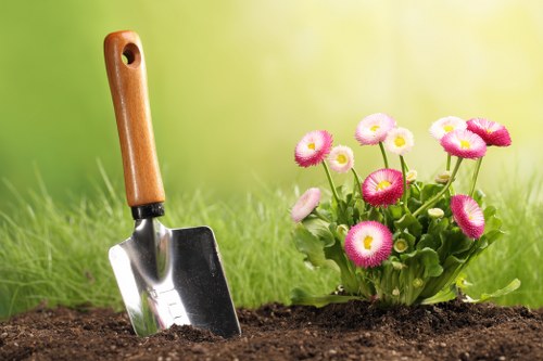 Eco-friendly tree removal practices in Tottenham